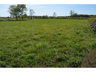 Property photo 20 - 80 +/- Acres Offered in 6 Tracts - Spectacular Farm & Home